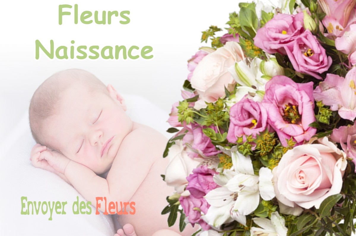 lIVRAISON FLEURS NAISSANCE à DOLE